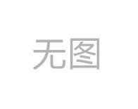 校领导班子和中层干部队伍结构